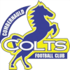 Cumbernauld Colts