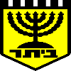 Beitar Kfar Saba Shlomi